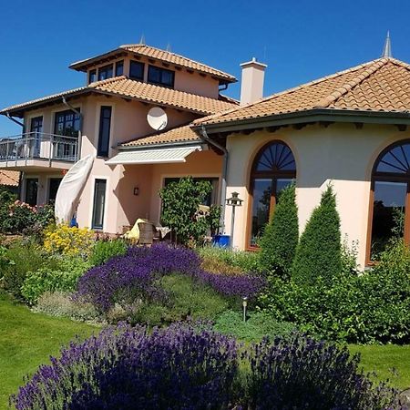 Ferienwohnung "Am Gruen" Zweedorf Ngoại thất bức ảnh